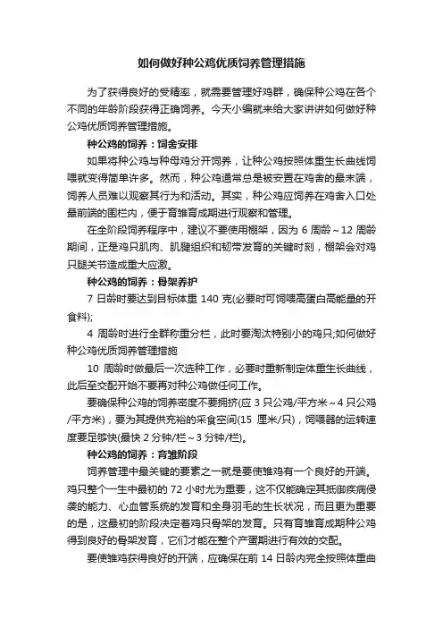 如何做好种公鸡优质饲养管理措施