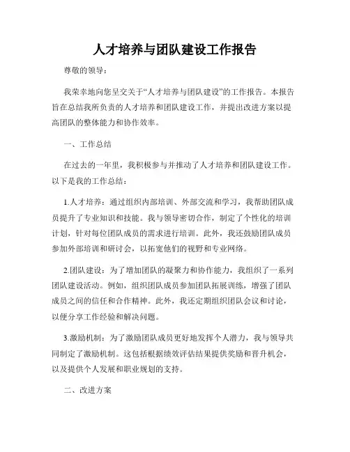 人才培养与团队建设工作报告