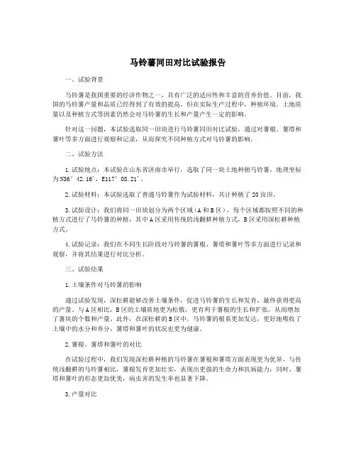 马铃薯同田对比试验报告