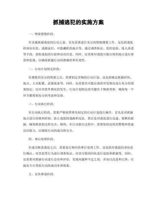 抓捕逃犯的实施方案