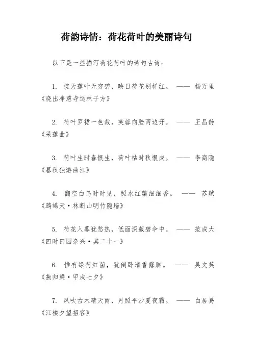 描写荷花荷叶的诗句古诗