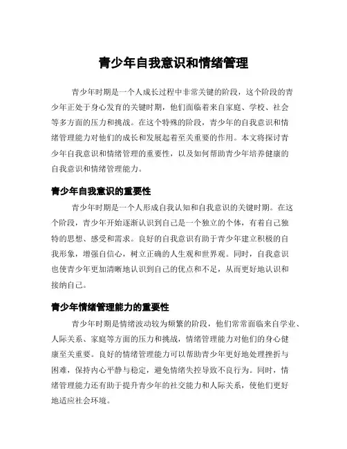 青少年自我意识和情绪管理