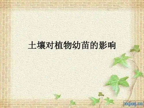 五年级综合实践  土壤对植物幼苗的影响