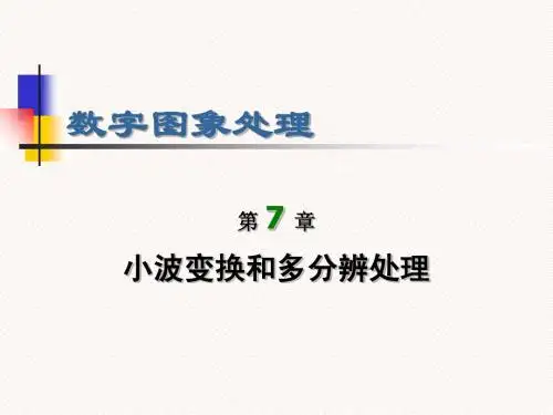 冈萨雷斯 DIP第7章