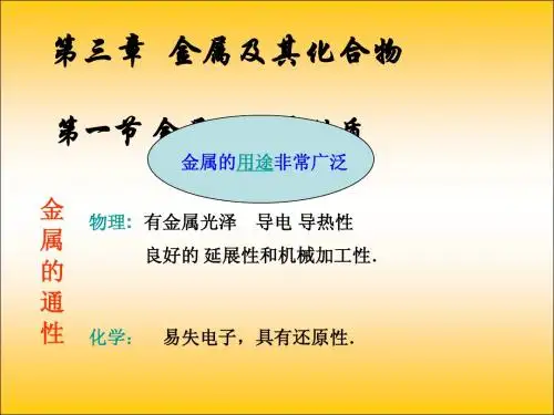 新课标人教版高一化学必修1第三章第一节 金属的化学性质PPT课件[原创] .ppt