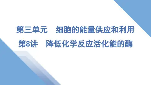 2025届高三一轮复习生物：降低化学反应活化能的酶课件