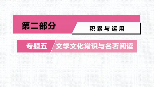 【精选】中考语文复习：专题5  新课标名著精读 16、《童年》