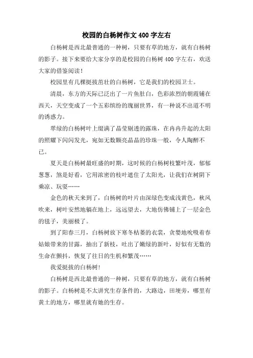 校园的白杨树作文400字左右