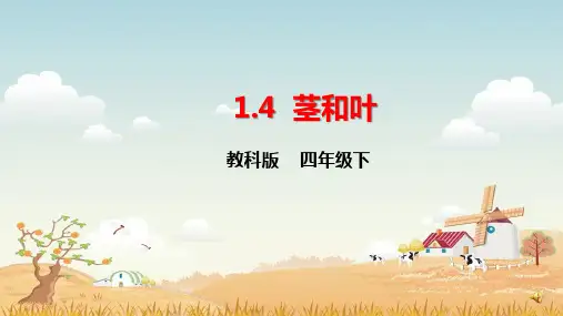 教科版科学四下《茎和叶》课件