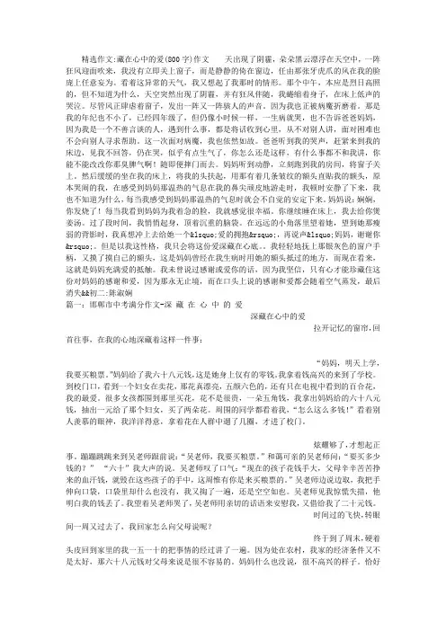 藏在心中的爱(800字)作文