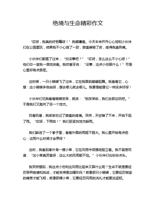 绝境与生命精彩作文