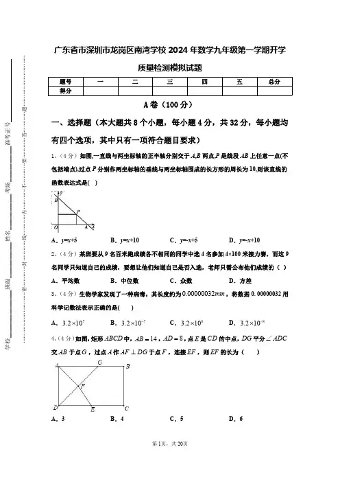 广东省市深圳市龙岗区南湾学校2024年数学九年级第一学期开学质量检测模拟试题【含答案】