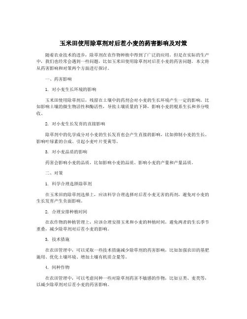 玉米田使用除草剂对后茬小麦的药害影响及对策