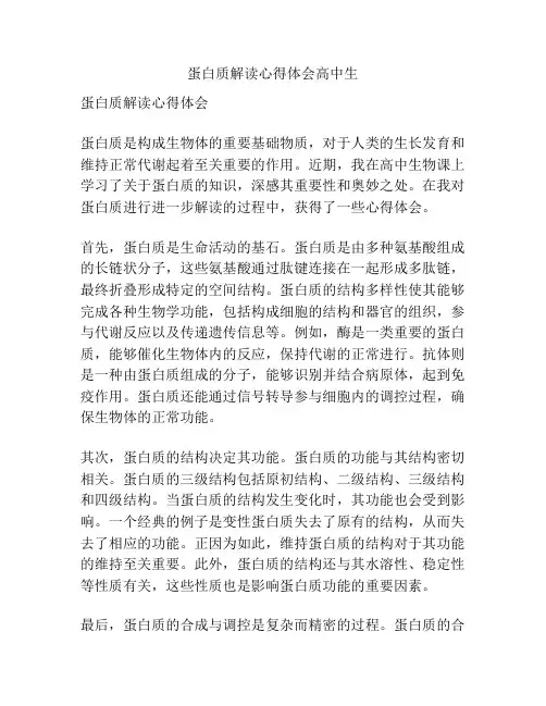蛋白质解读心得体会高中生