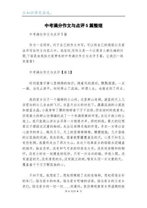 中考满分作文与点评5篇整理
