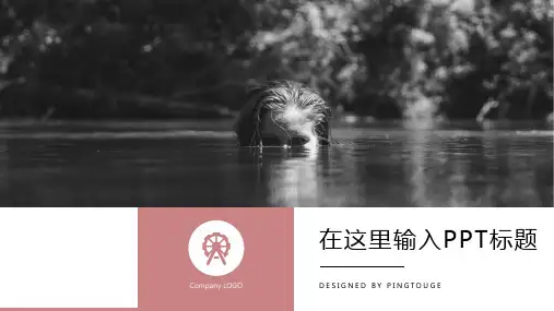 经典华丽典雅可爱阴影动态商务宣传ppt模板