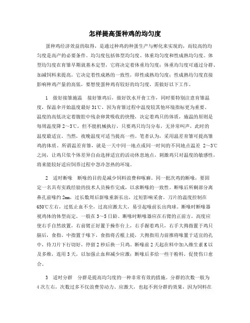 怎样提高蛋种鸡的均匀度