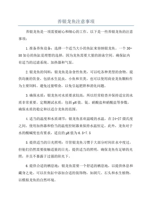 养银龙鱼注意事项