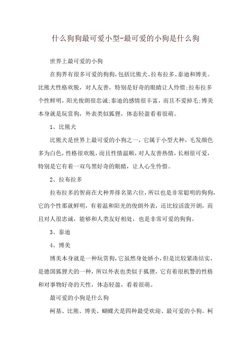 什么狗狗最可爱小型-最可爱的小狗是什么狗