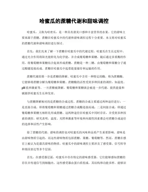 哈蜜瓜的蔗糖代谢和甜味调控