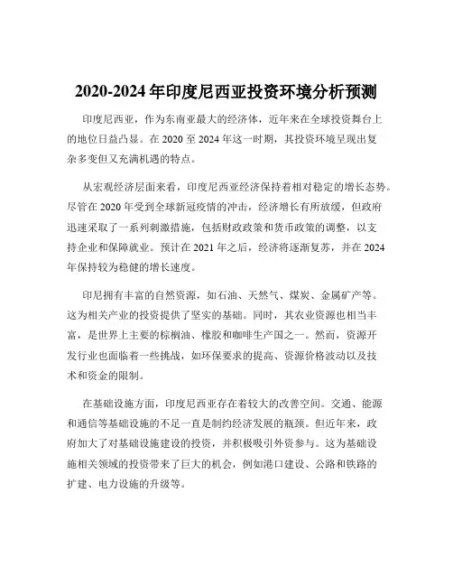 2020-2024年印度尼西亚投资环境分析预测
