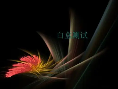 白盒测试