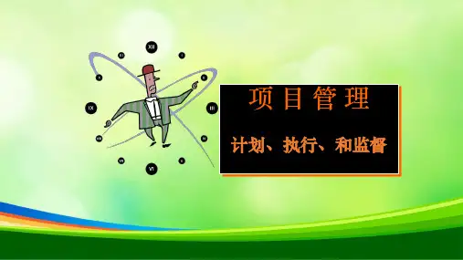项目管理计划执行和监督讲义(PPT 28页)