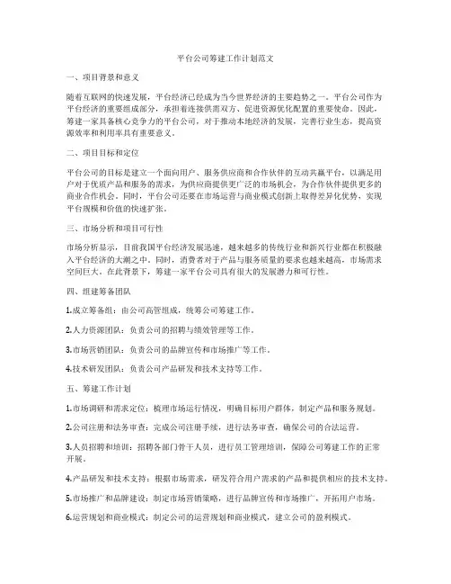 平台公司筹建工作计划范文