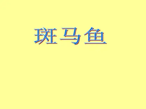 斑马鱼 PPT课件