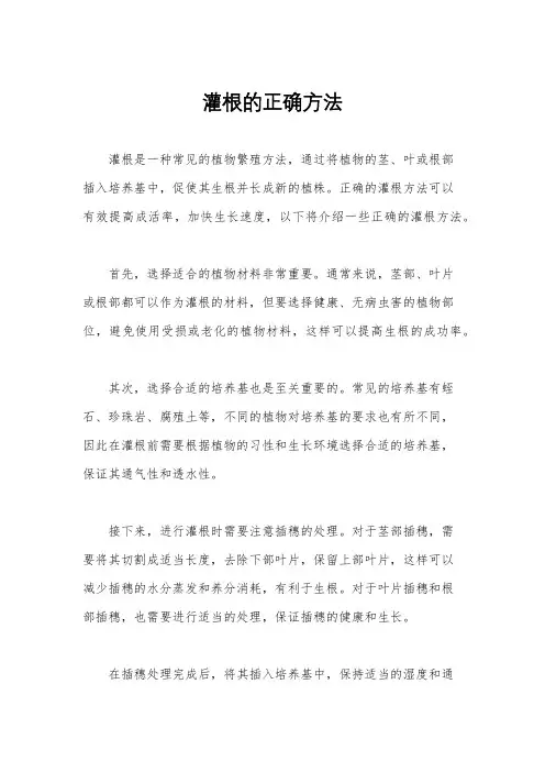 灌根的正确方法
