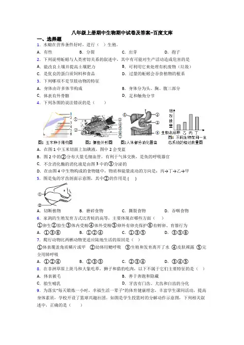 八年级上册期中生物期中试卷及答案-百度文库