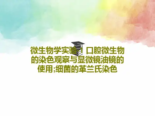 微生物学实验-1 口腔微生物的染色观察与显微镜油镜的使用;细菌的革兰氏染色共38页