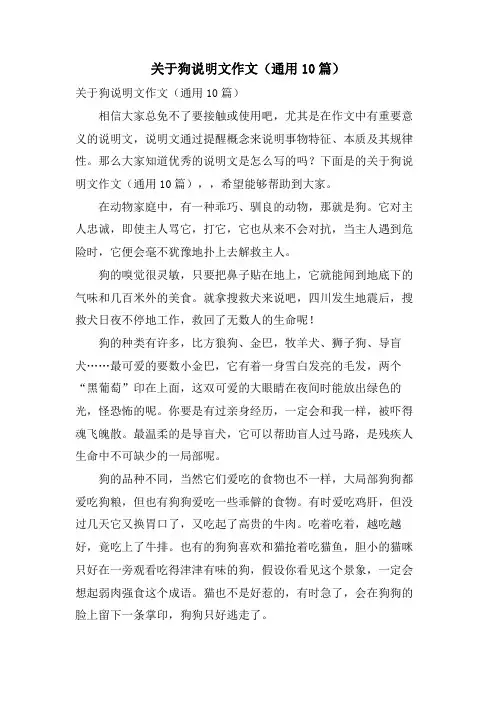 关于狗说明文作文(通用10篇)
