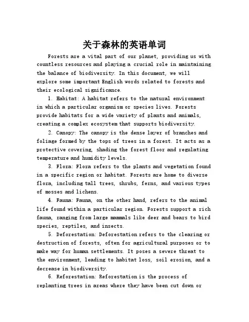 关于森林的英语单词