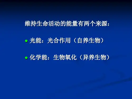 第四章基础生物化学-PPT课件