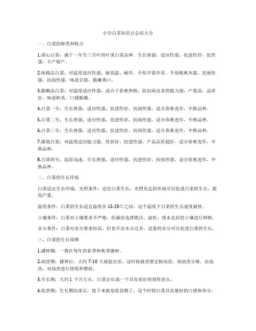 小学白菜知识点总结大全