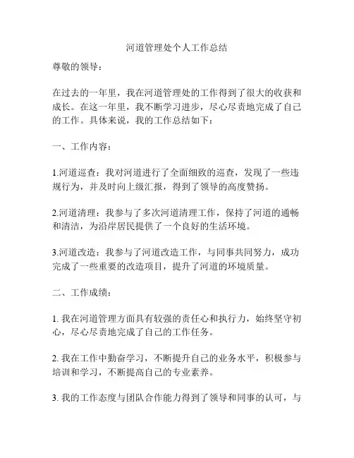 河道管理处个人工作总结