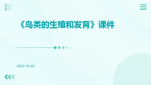 《鸟类的生殖和发育》课件
