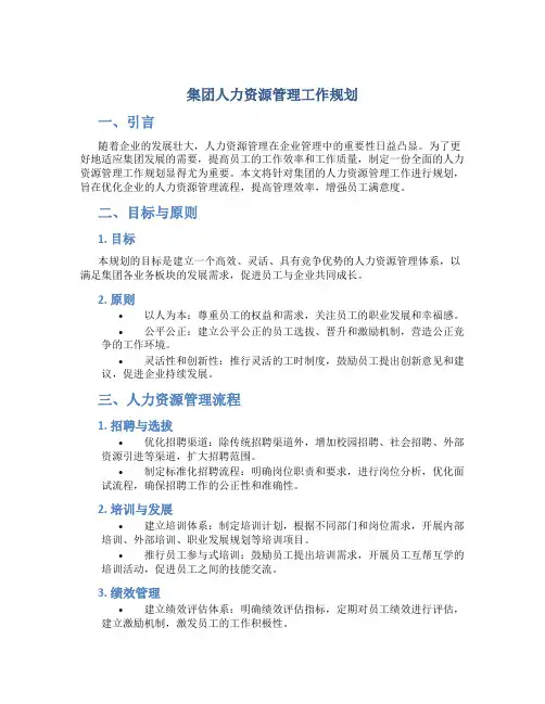 集团人力资源管理工作规划