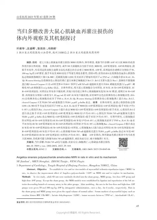 当归多糖改善大鼠心肌缺血再灌注损伤的体内外观察及其机制探讨
