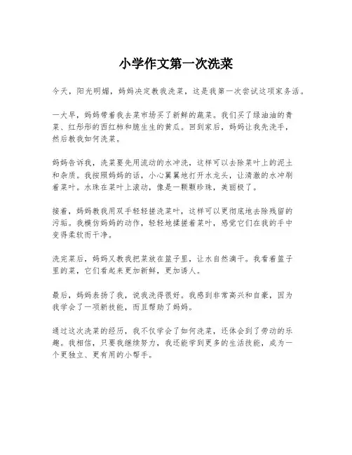 小学作文第一次洗菜