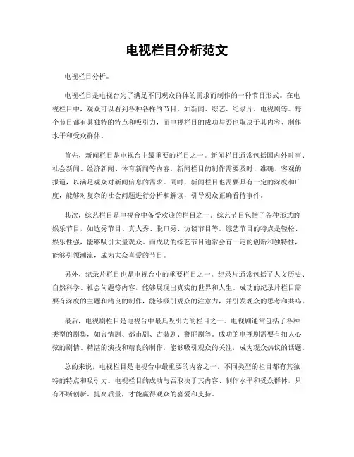 电视栏目分析范文