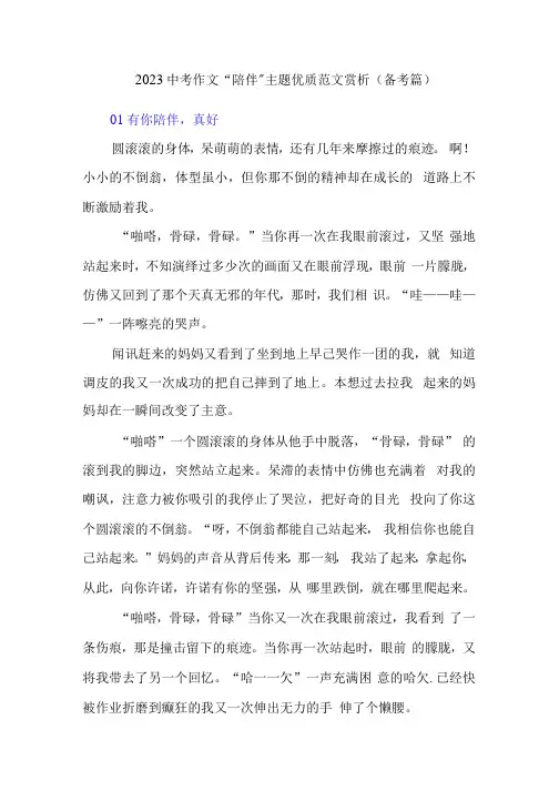 2023中考作文“陪伴”主题优质范文赏析(备考篇)