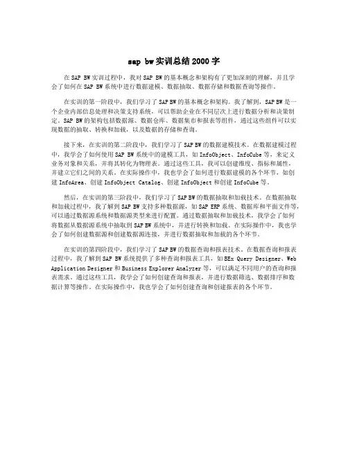 sap bw实训总结2000字