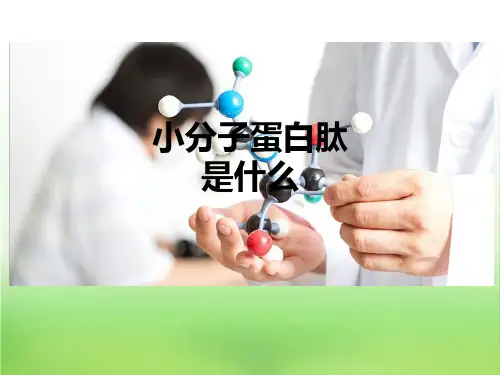 小分子蛋白肽是什么ppt课件