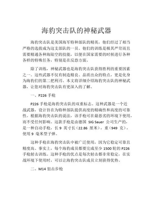 海豹突击队的神秘武器