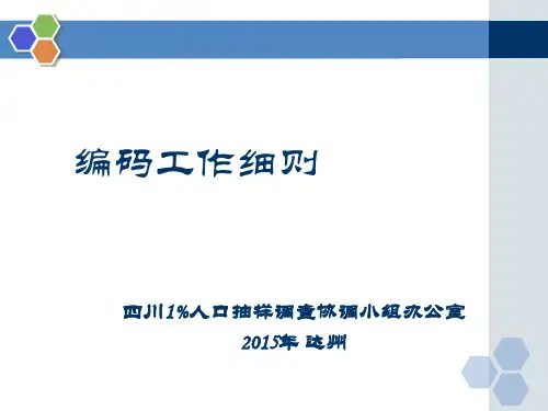 编码工作细则