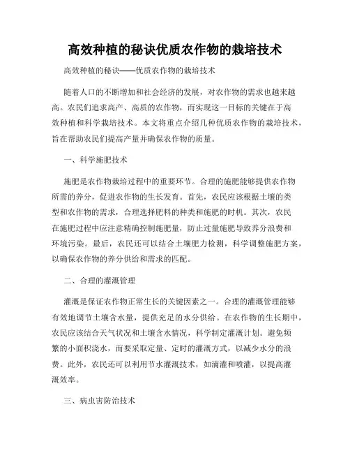 高效种植的秘诀优质农作物的栽培技术