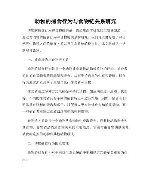 动物的捕食行为与食物链关系研究