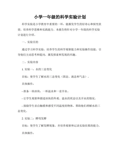 小学一年级的科学实验计划
